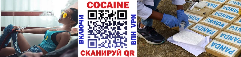 Купить закладки  Магадан  COCAIN Боливия 