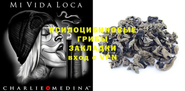 эйфоретик Карпинск