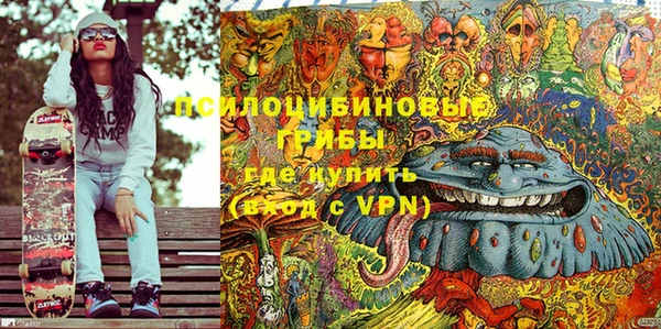 экстази Болотное