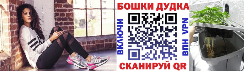 Купить где  Магадан  Конопля индика 